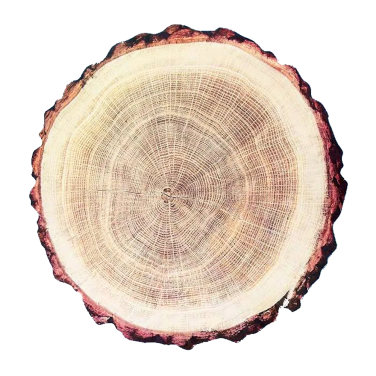 Log wood Slice Placemat Charger