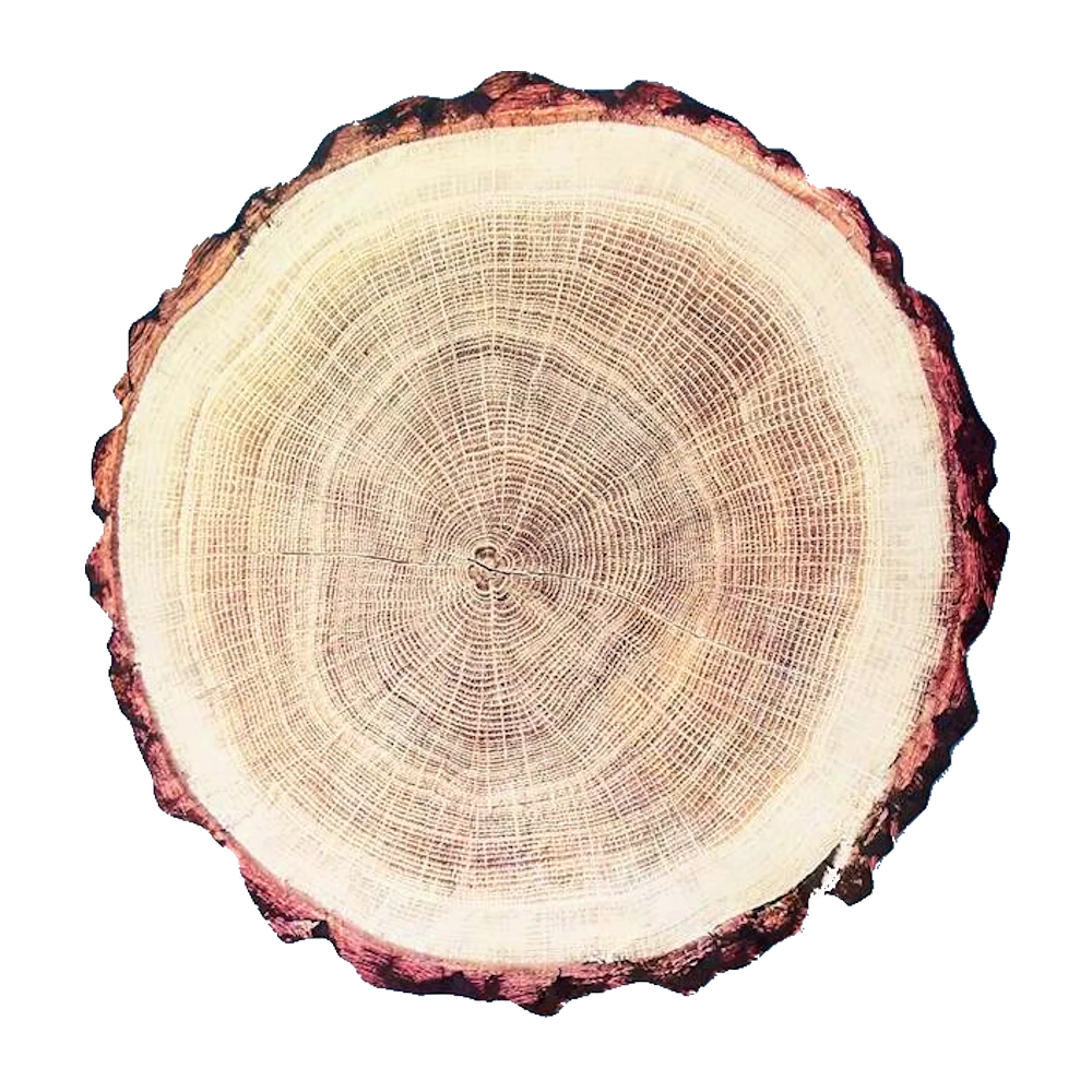 Log wood Slice Placemat Charger