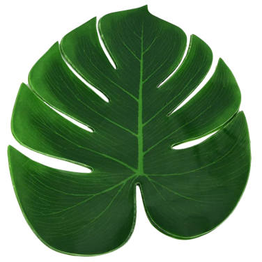 Tropical Mosterna Leaf Place Mat Placemat Hire