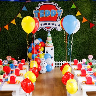 Kids Paw Patrol Party - White Table & Chair Hire