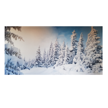 Snowy Trees Winter Wonderland Backdrop Hire 6m x 3m