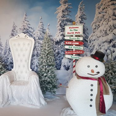 Snowy Trees Winter Wonderland Backdrop Hire 6m x 3m