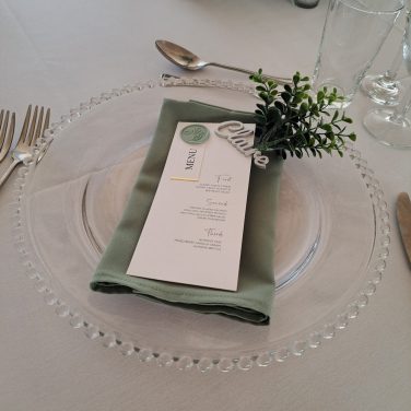Sage Green Fabric Napkin Hire