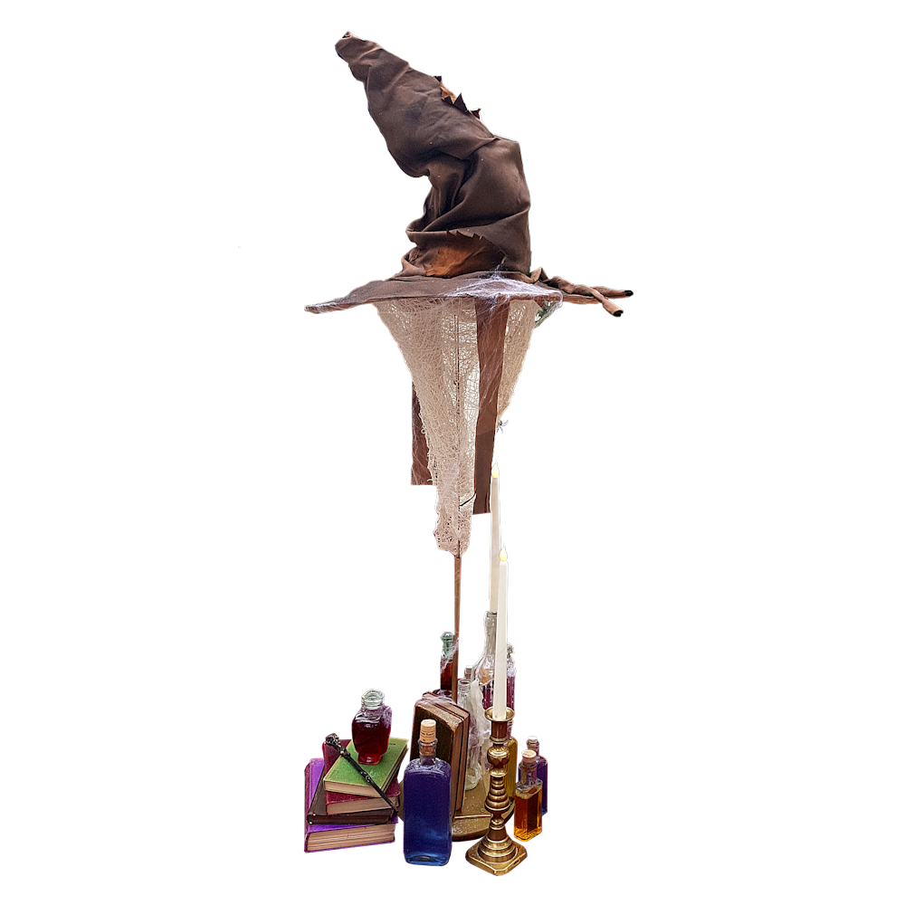 Harry Potter Sorting Hat Centrepiece