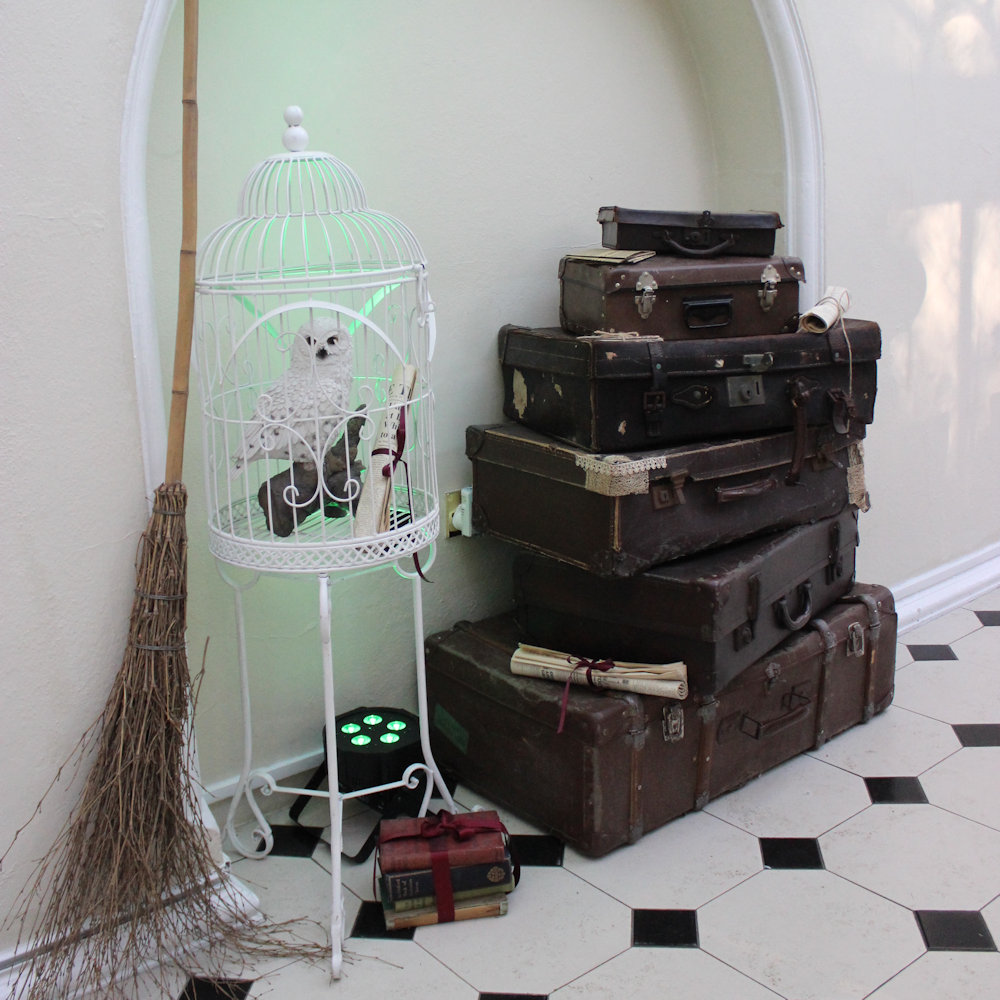 Herwig Hedwig Snowy owl Harry potter theme party to in cage hire