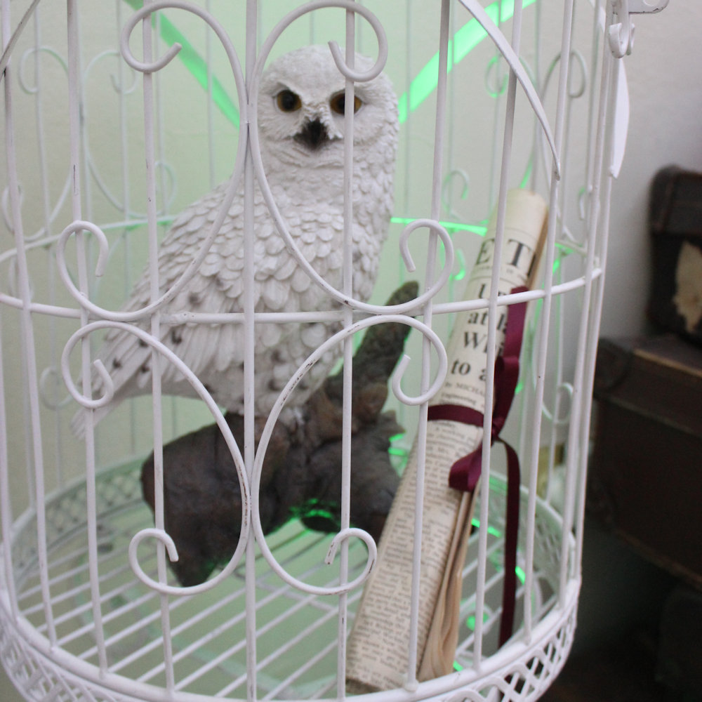 Herwig Hedwig Snowy owl Harry potter theme party to in cage hire