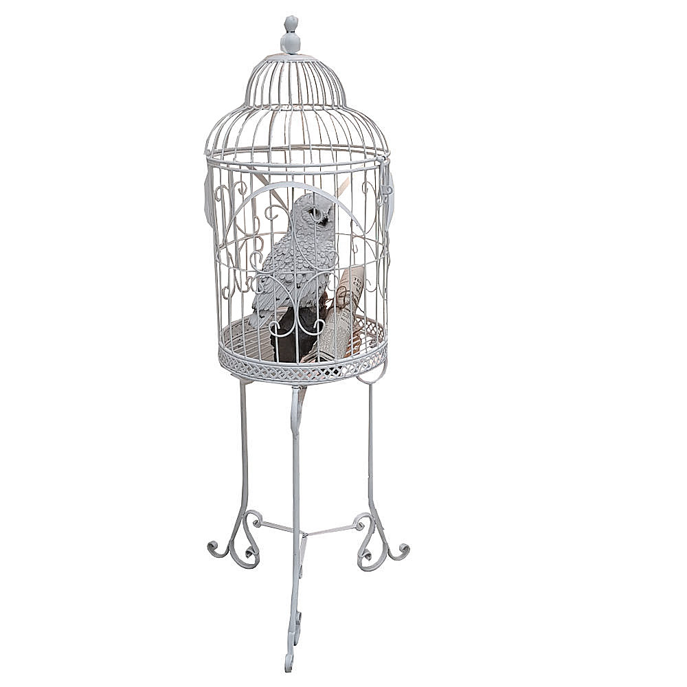 Herwig Hedwig Snowy owl Harry potter theme party to in cage hire