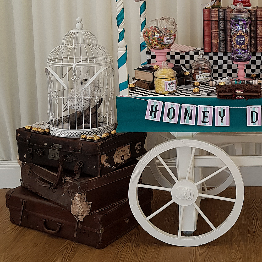Herwig Hedwig Snowy owl Harry potter theme party to in cage hire