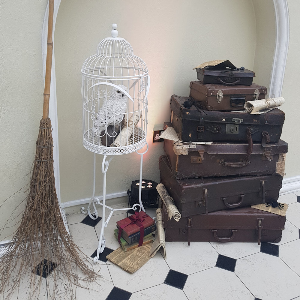 Herwig Hedwig Snowy owl Harry potter theme party to in cage hire
