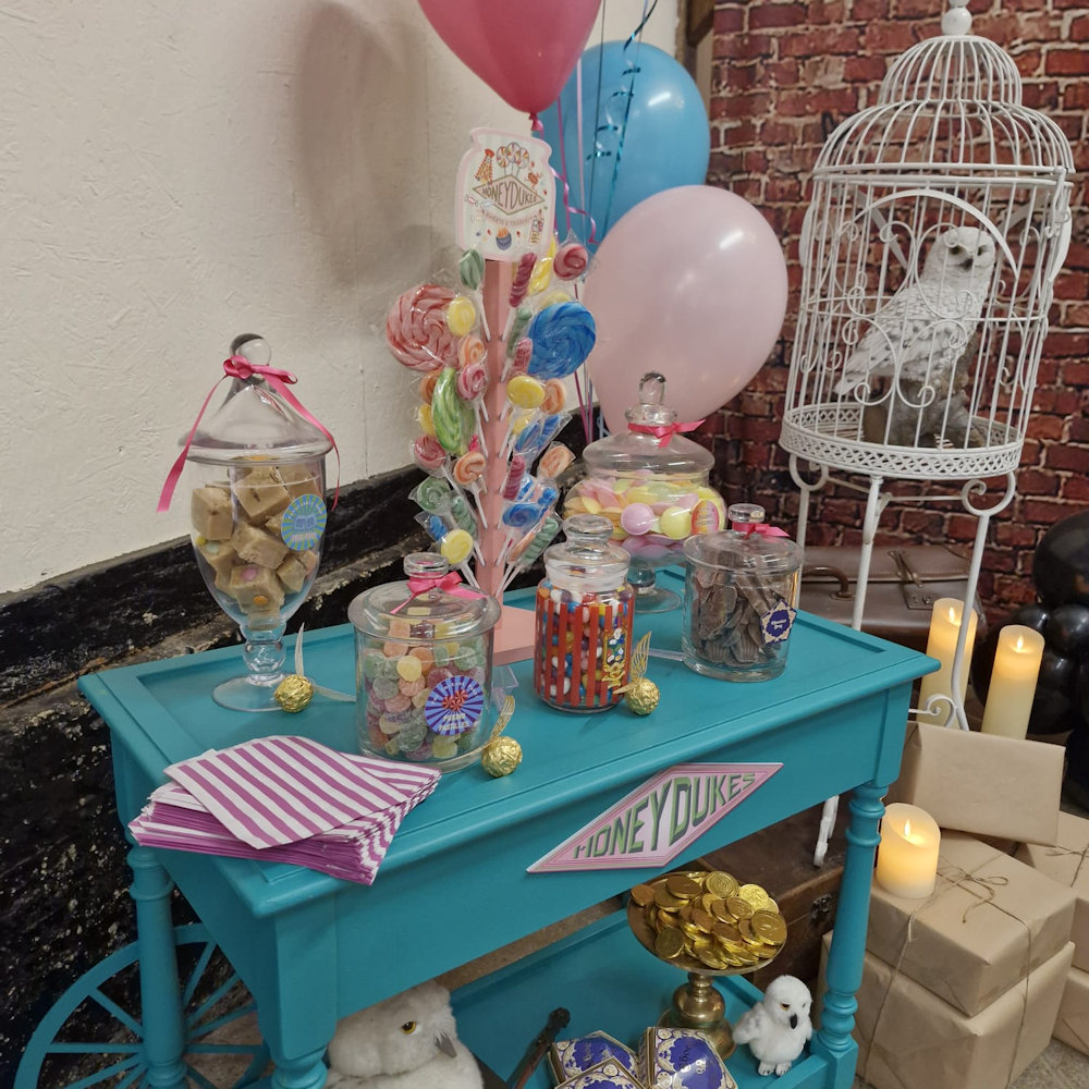 Herwig Hedwig Snowy owl Harry potter theme party to in cage hire