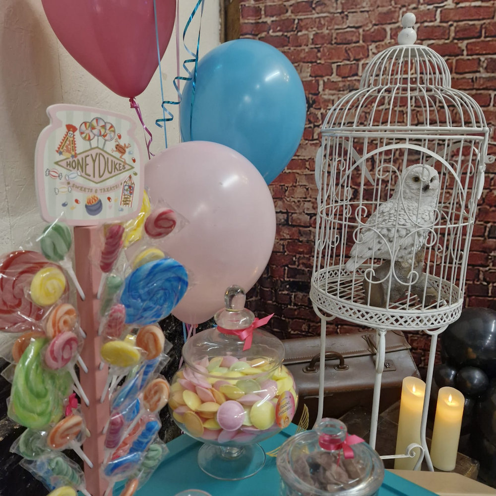 Herwig Hedwig Snowy owl Harry potter theme party to in cage hire