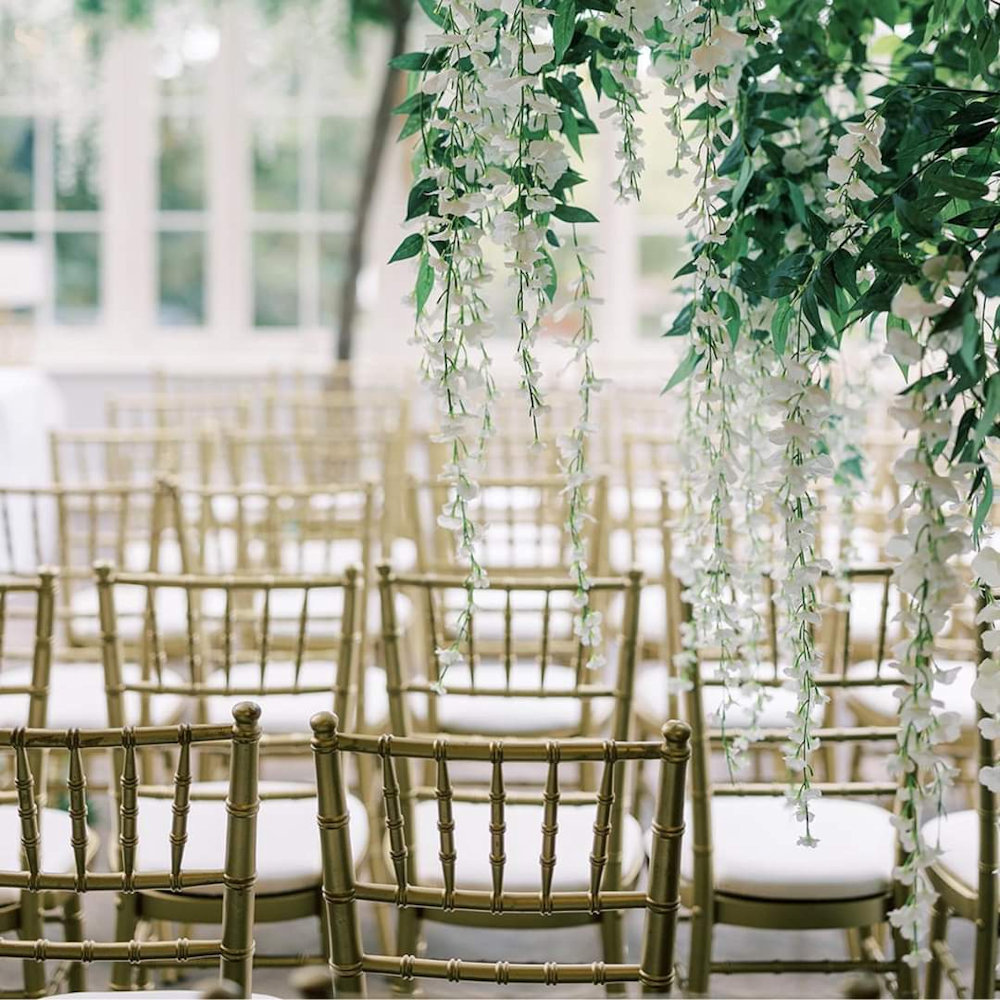 Wisteria Tree to Hire at St. Michaels Manor
